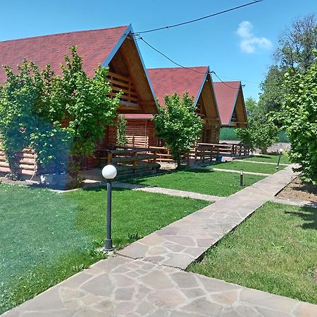 פירוט Vila Viktori מראה חיצוני תמונה