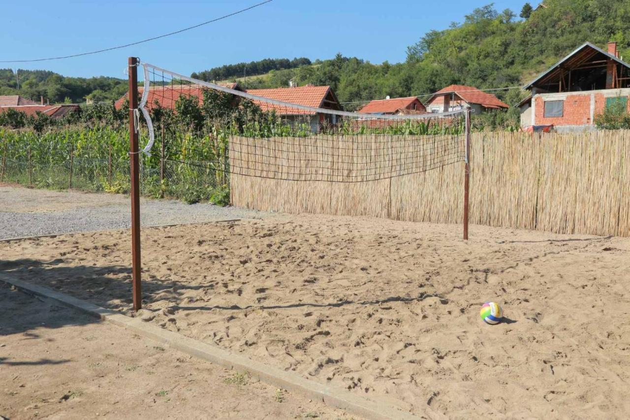 פירוט Vila Viktori מראה חיצוני תמונה