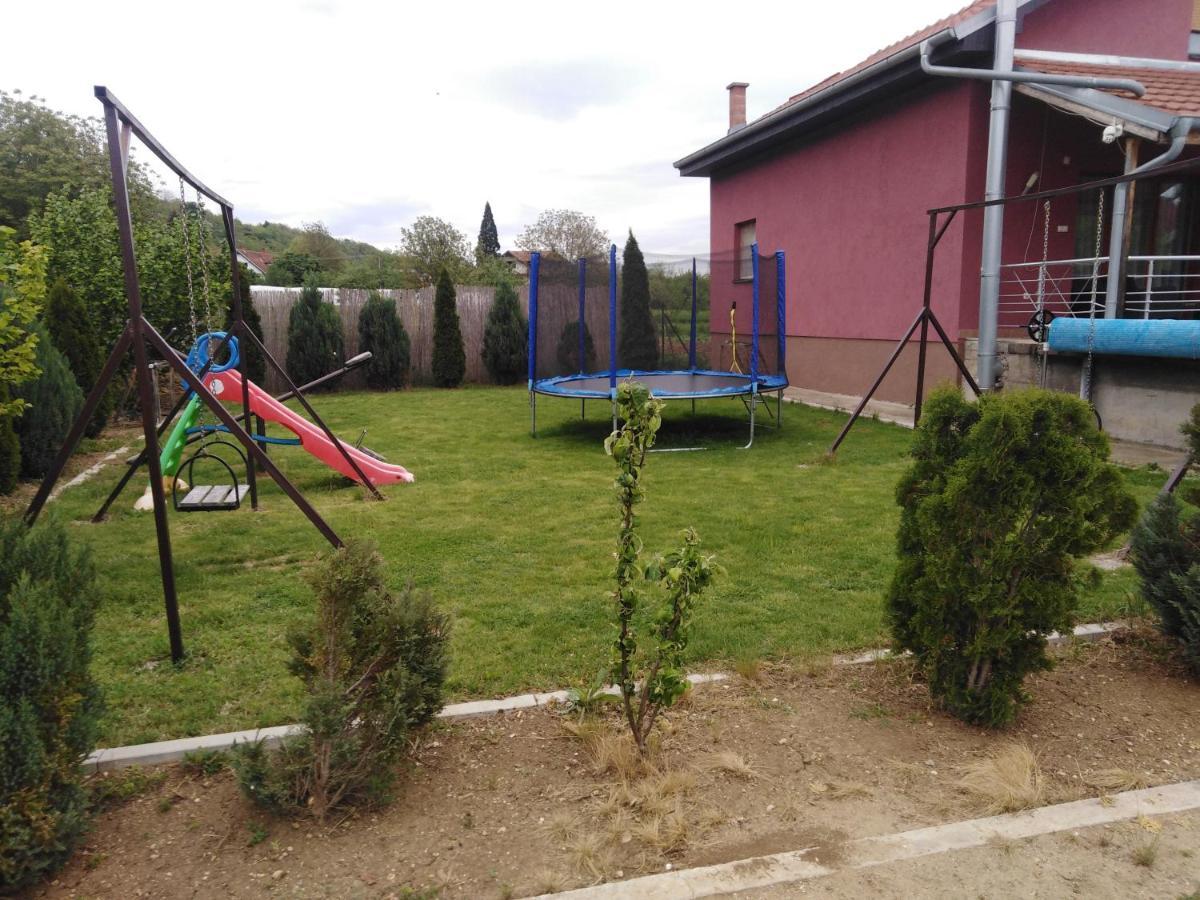 פירוט Vila Viktori מראה חיצוני תמונה