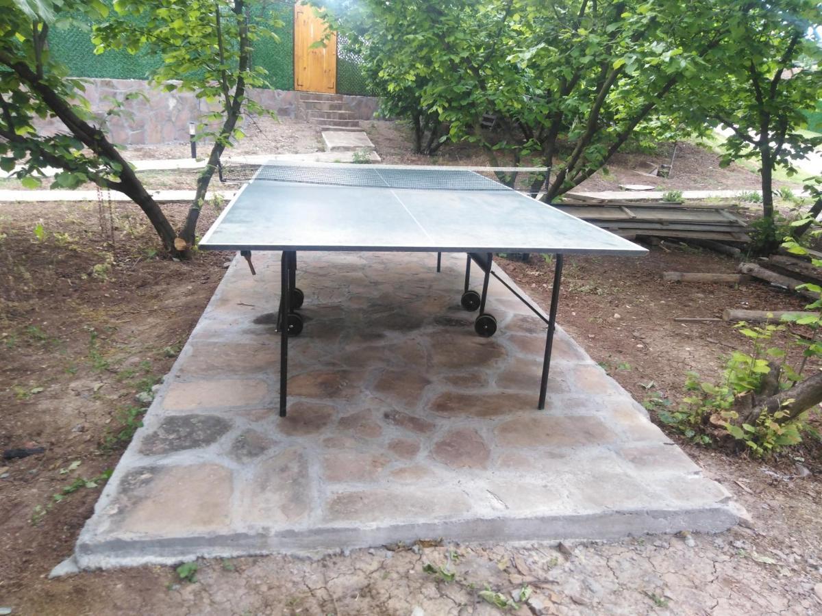 פירוט Vila Viktori מראה חיצוני תמונה